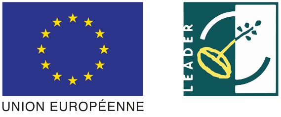 Europe - Programme Leader